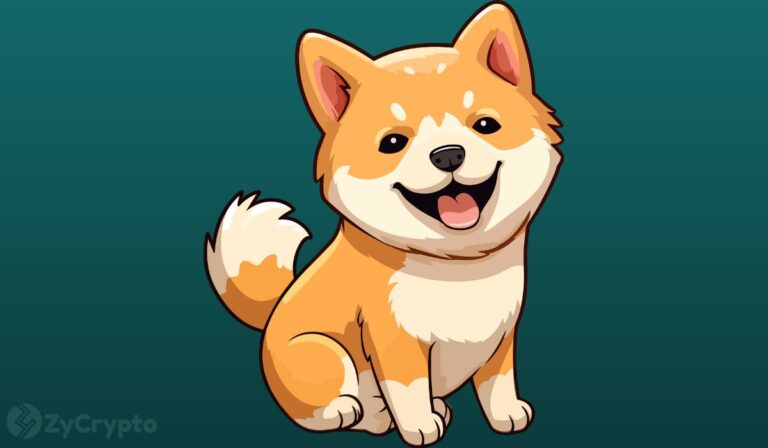 Mysterious Shiba Inu Whales Haul Trillions Of SHIB As PEPE, BONK Meme Coin Craze Gets Serious