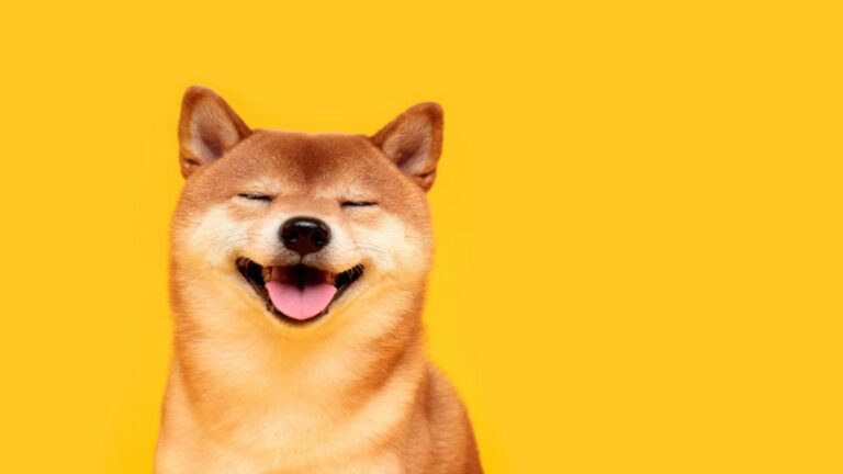 Why is SHIB up 35%? Shiba Inu rockets higher as S.Korean traders lead mystery rally