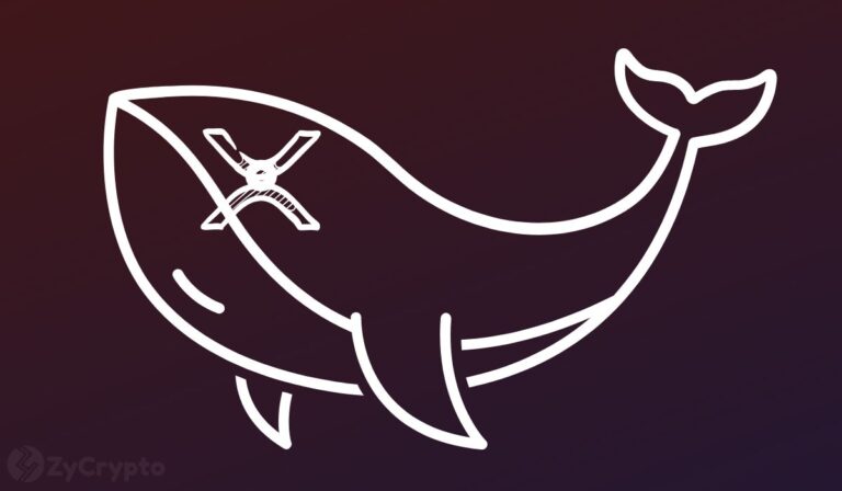 XRP Whales Kick Off Massive Accumulation Trend — Is A Mega Bullish Uprising In View? ⋆ ZyCrypto