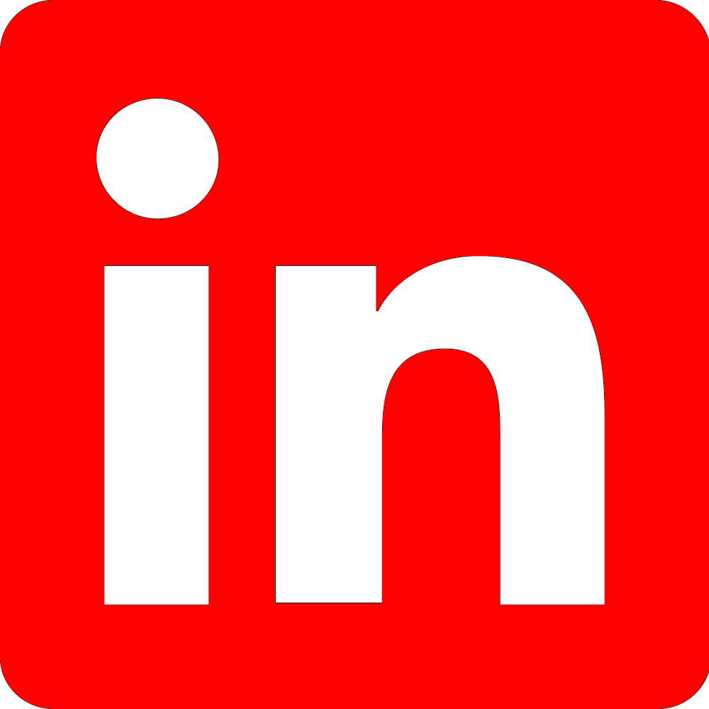 The LinkedIn professional networking platform logo