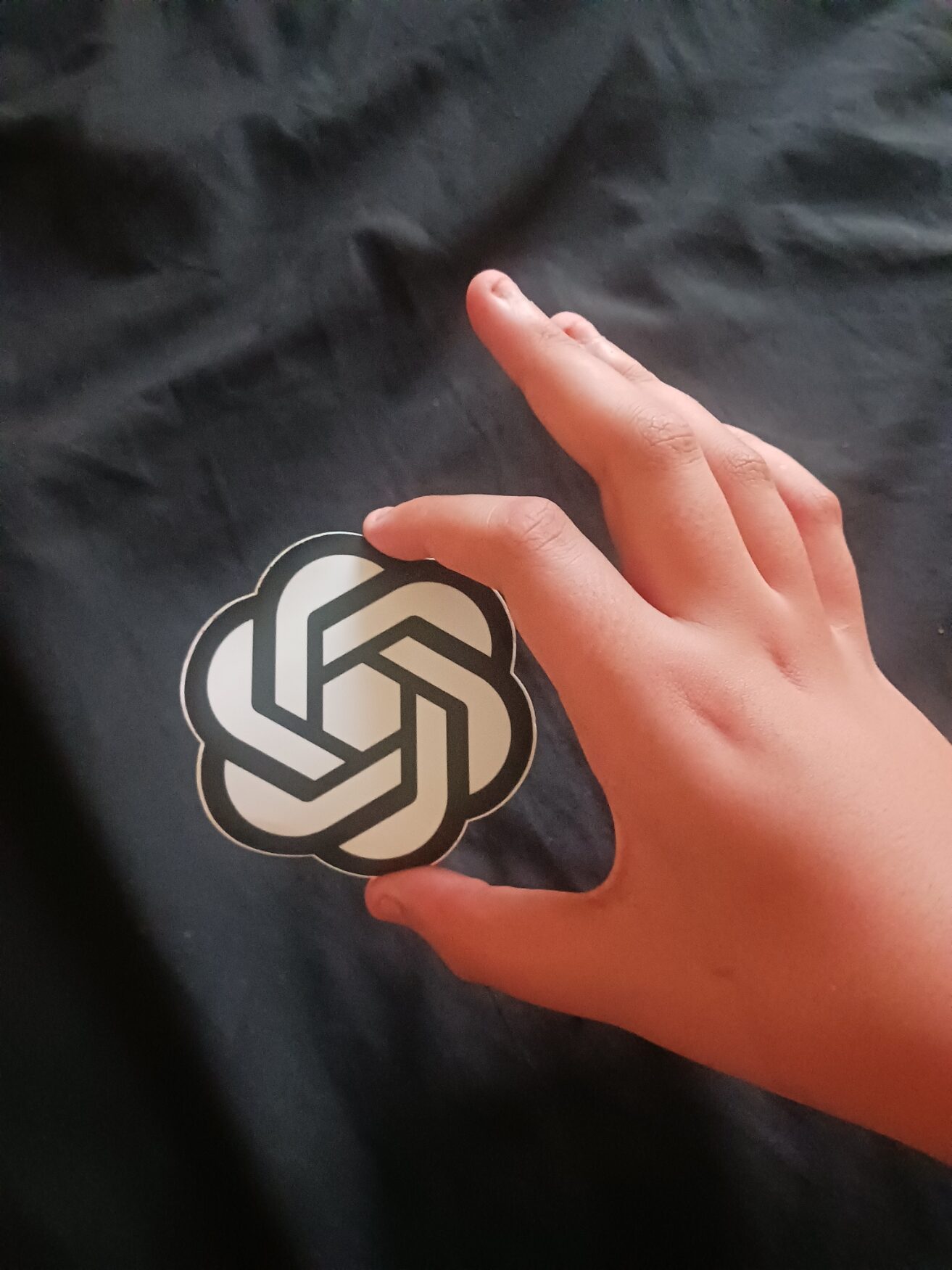 Person holding the official OpenAI icon